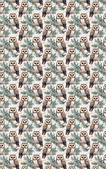 Winter Hoots