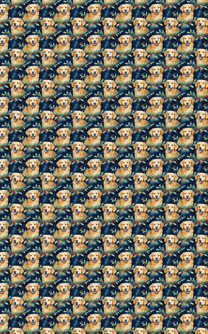 Chilly Golden