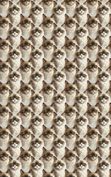 Soft as a Ragdoll - London Penny Gift Wrap