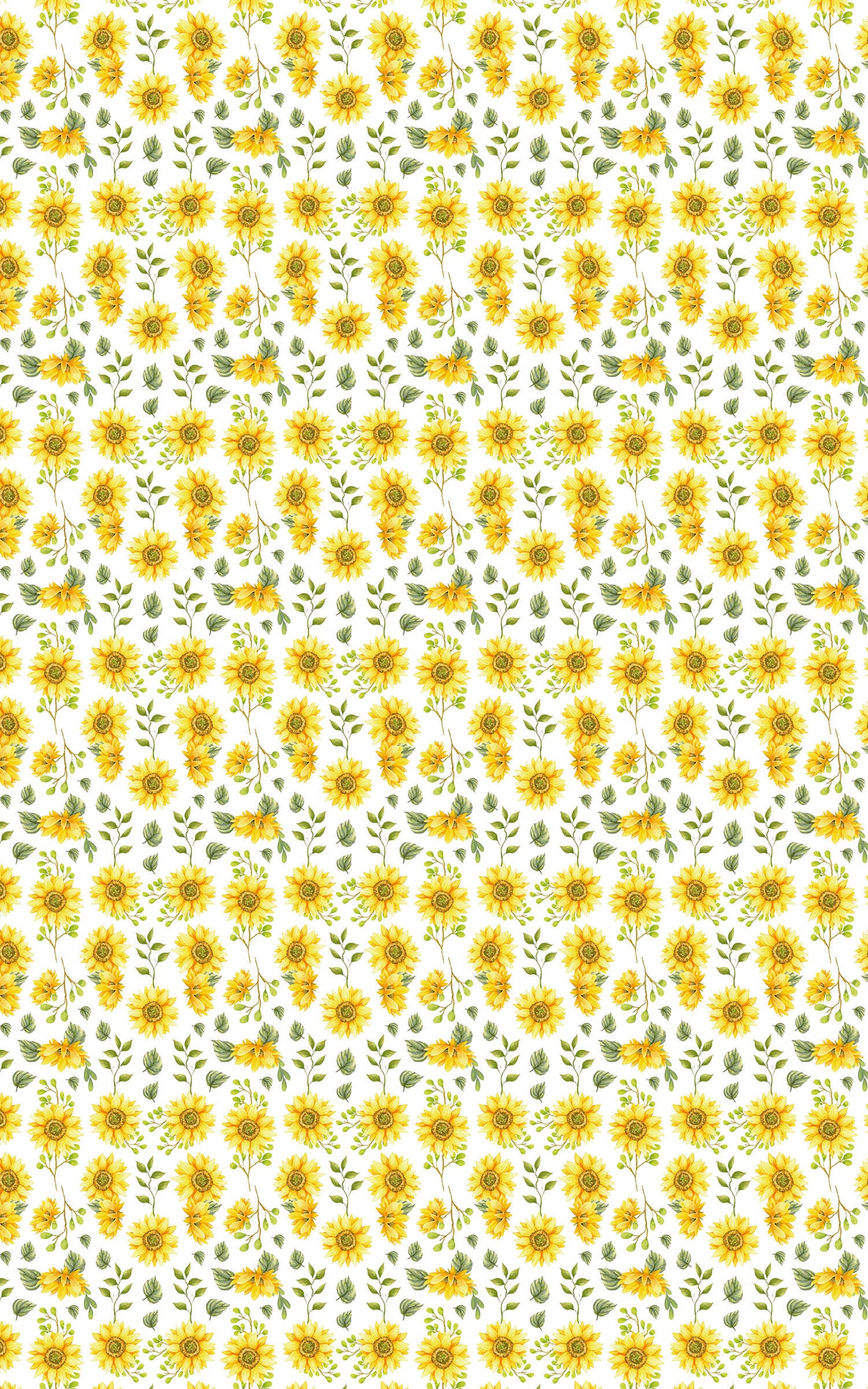 Sunflower White