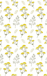 Yellow Spring Flowers - London Penny Gift Wrap