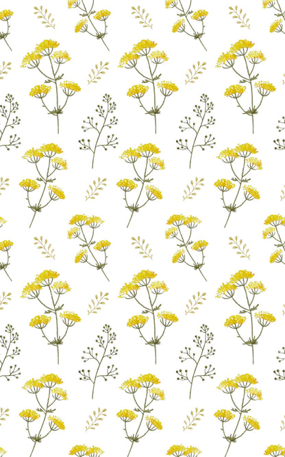 Yellow Spring Flowers