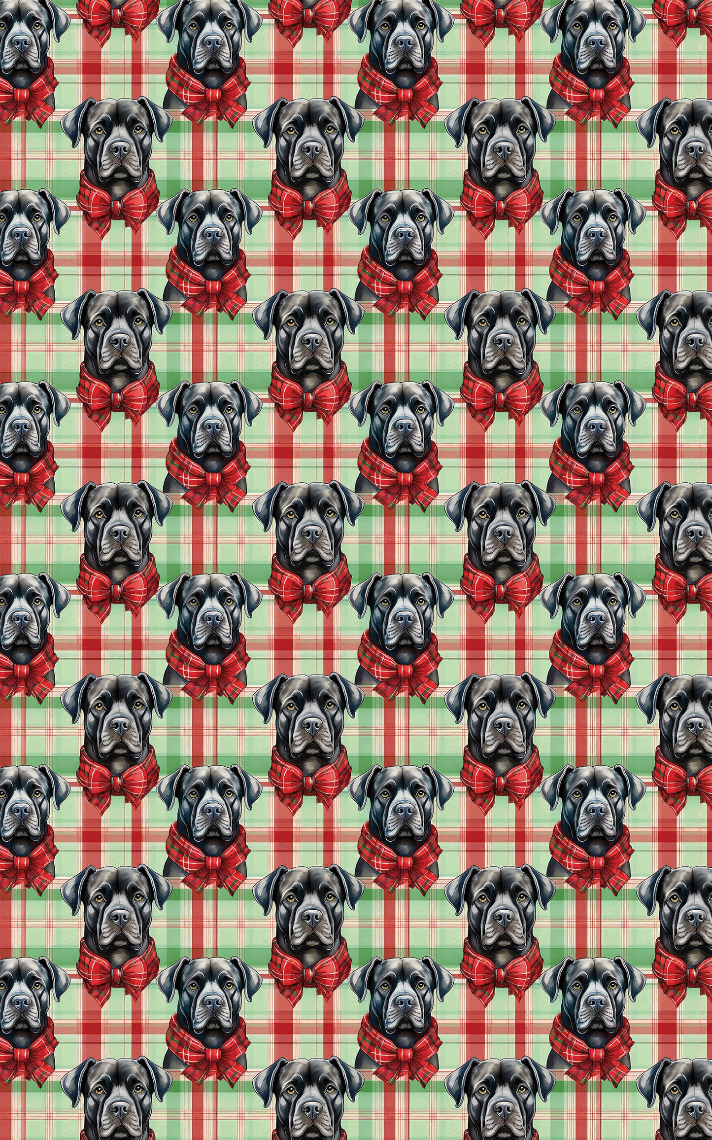 Cane Corso Plaid Parade