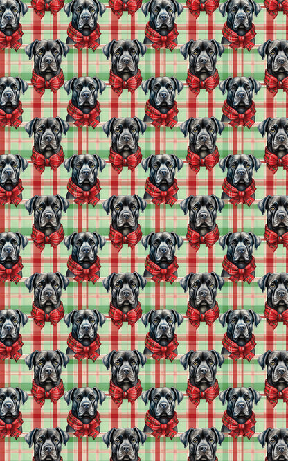 Cane Corso Plaid Parade