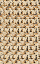 Safari Stroll: Meerkat - London Penny Gift Wrap