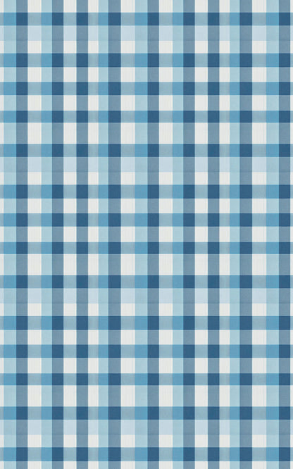Gingham Gala Coastal Blue