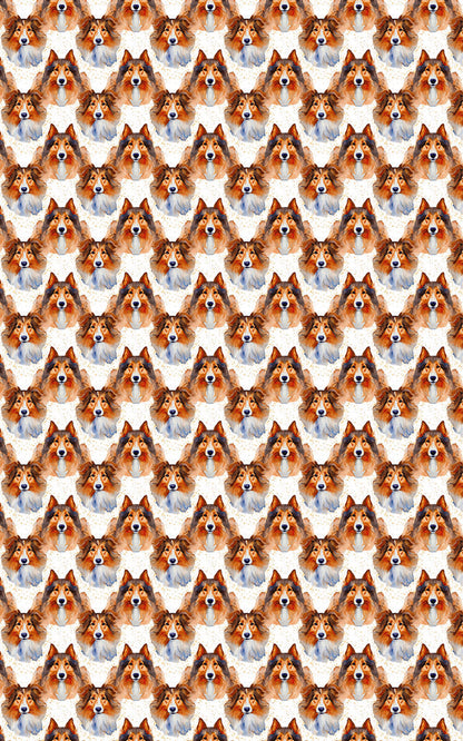 Collie Grace