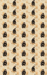 Safari Stroll: Chimpanzee - London Penny Gift Wrap