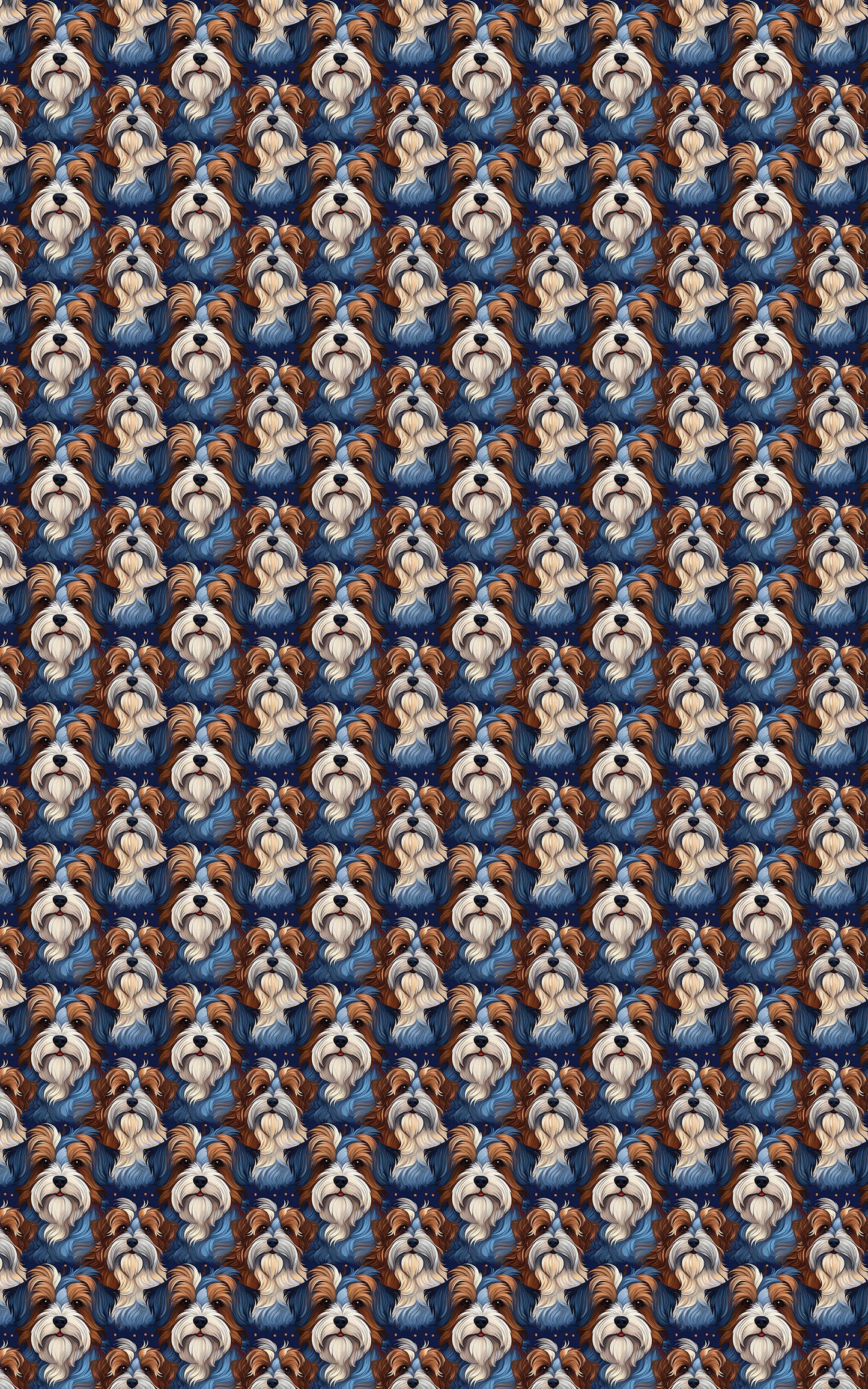 Biewer Terrier Grace