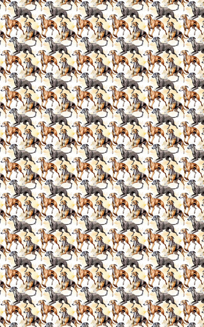 Speed & Grace – Greyhound
