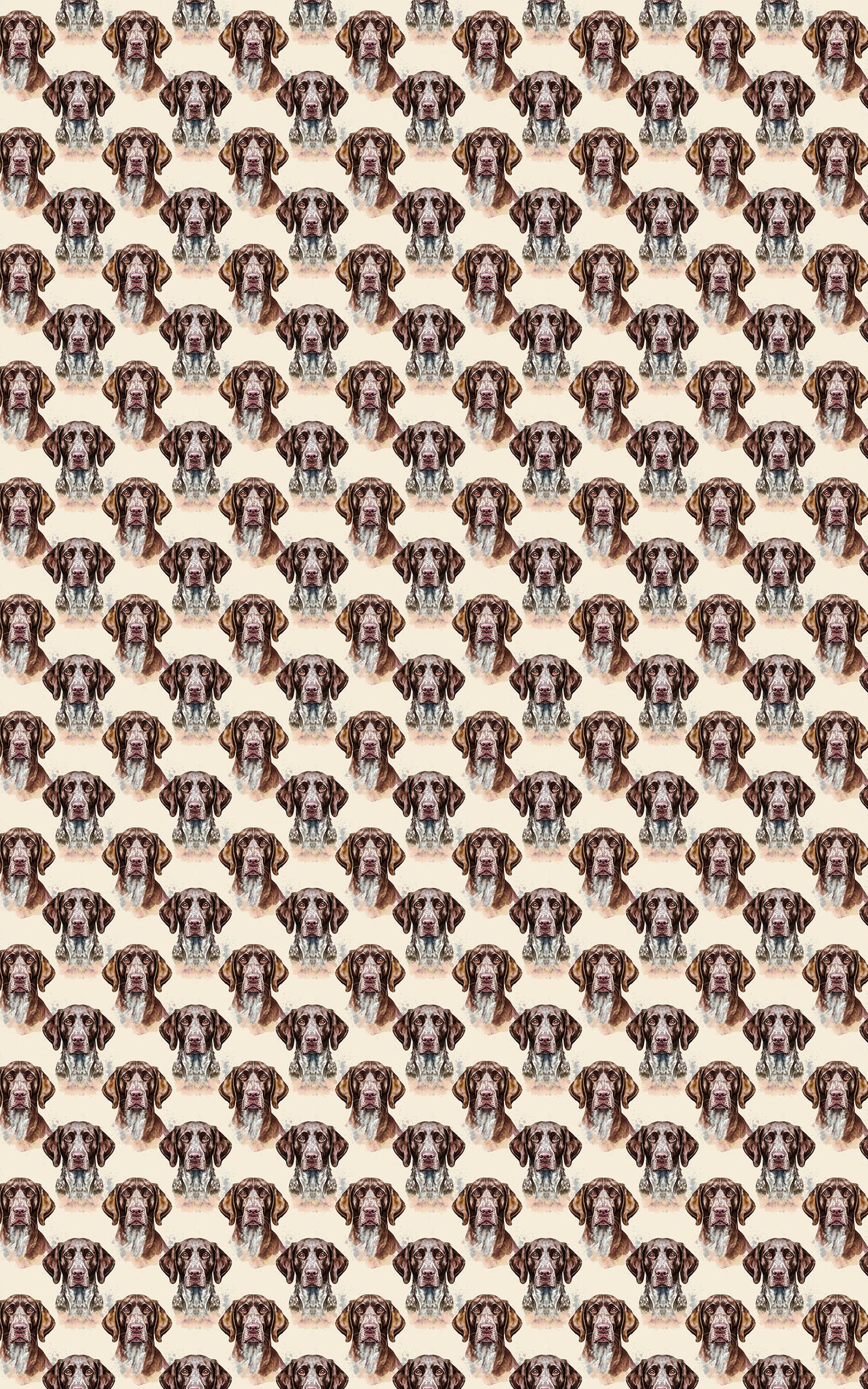 The Stylish Pointer