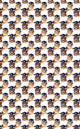 The Academic Catwalk - London Penny Gift Wrap