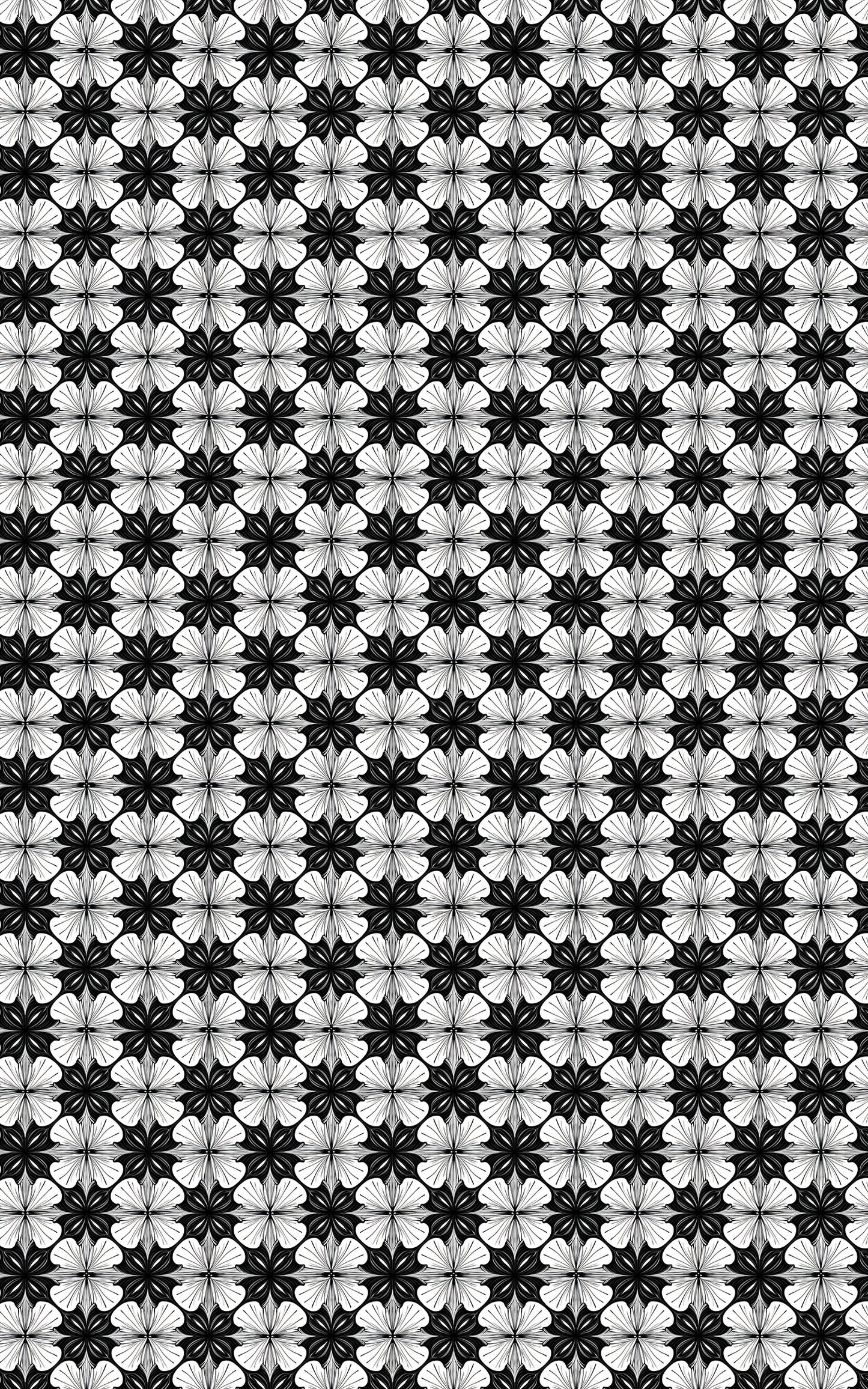 Shape Symphony