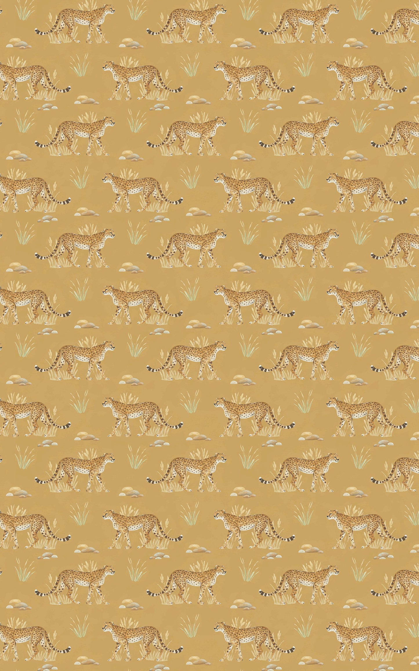 Safari Stroll: Cheetah