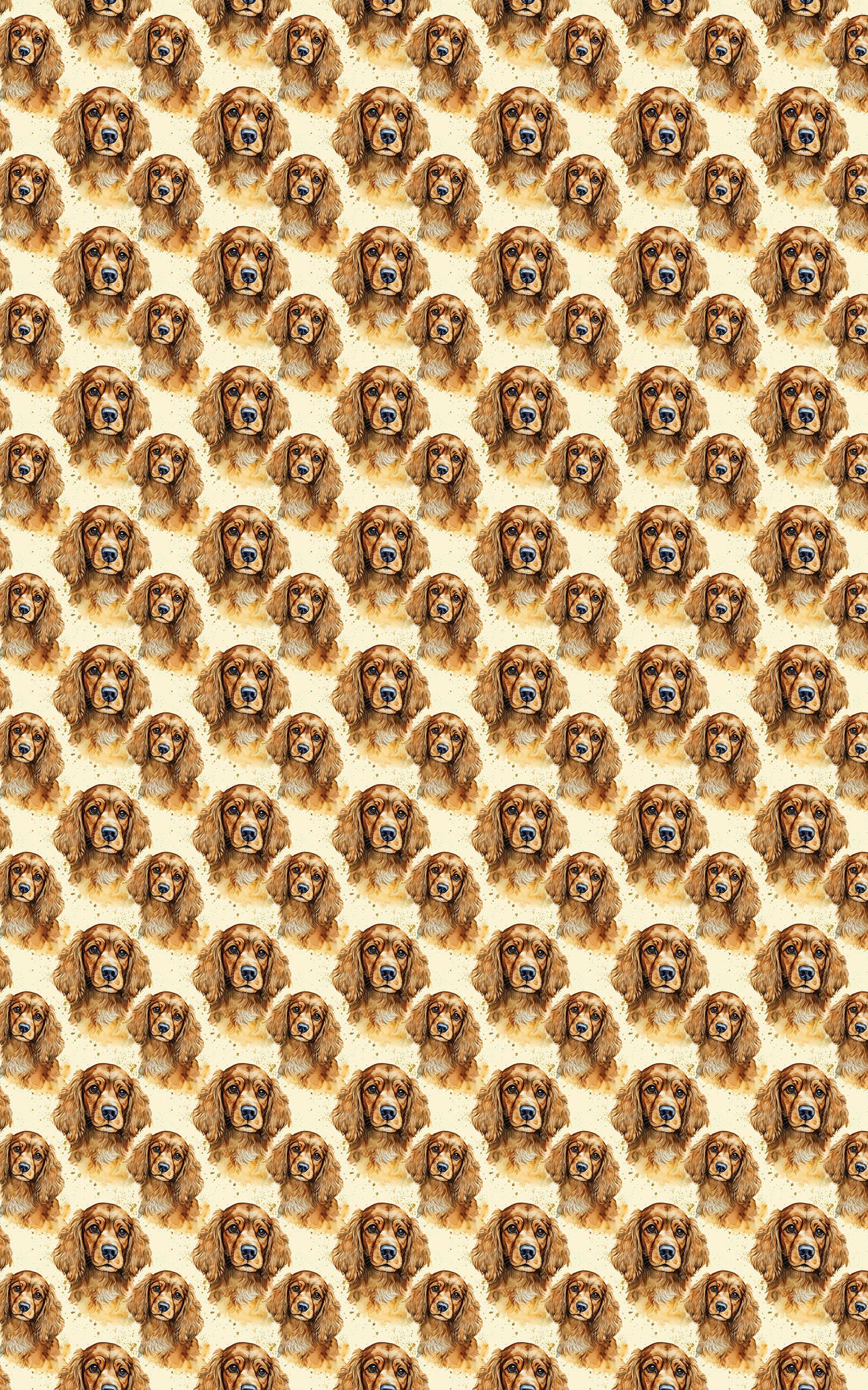 The Gentle Spaniel
