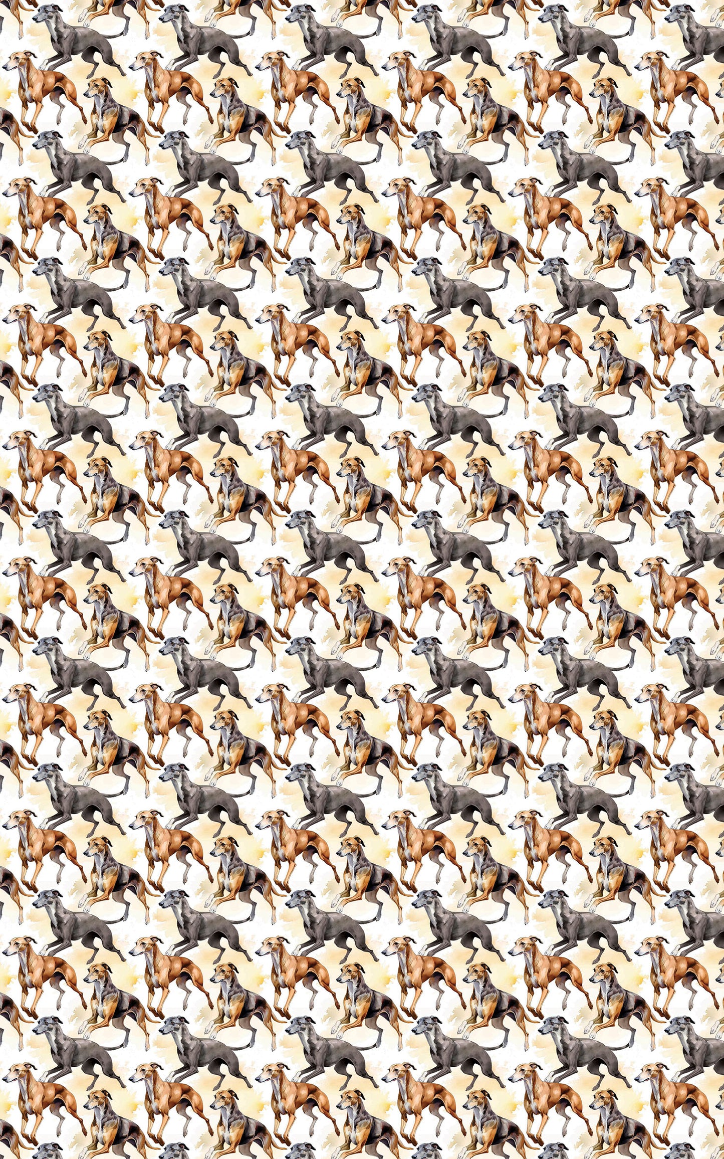 Speed & Grace – Greyhound