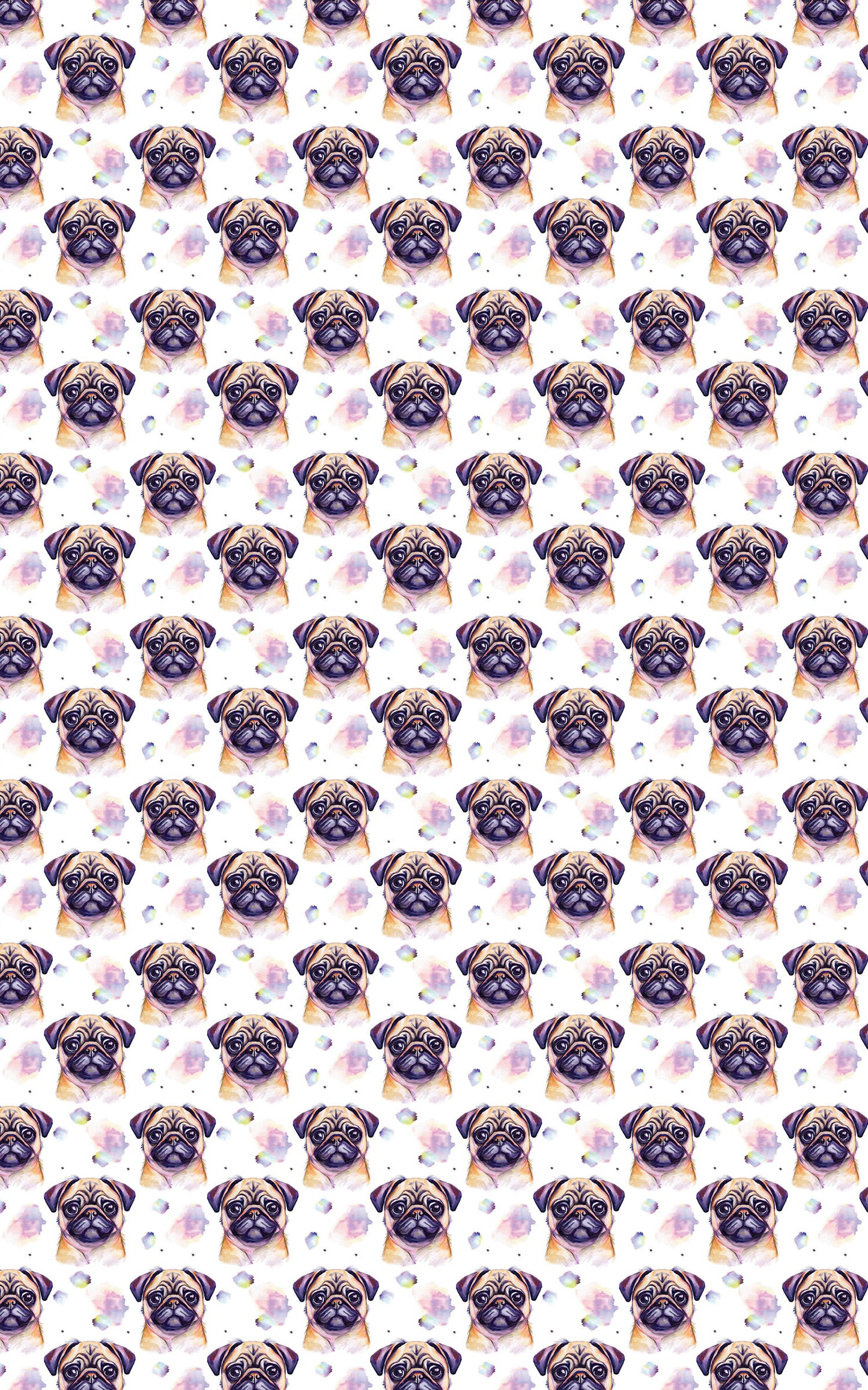 Pugs & Hugs
