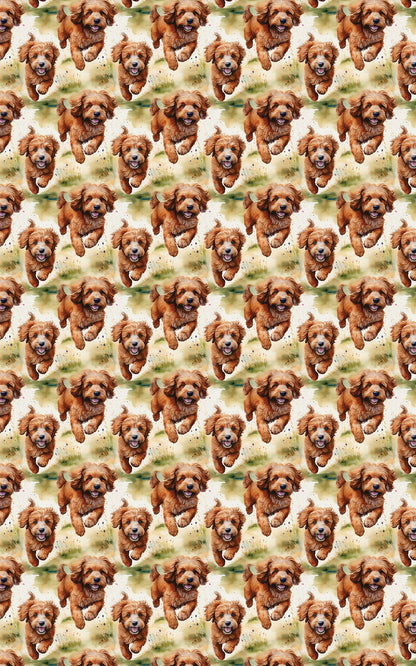 Sunlit Cavapoo Fields