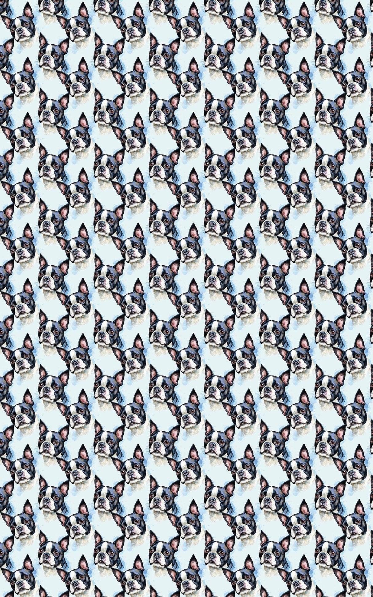 Boston Bounce! - London Penny Gift Wrap