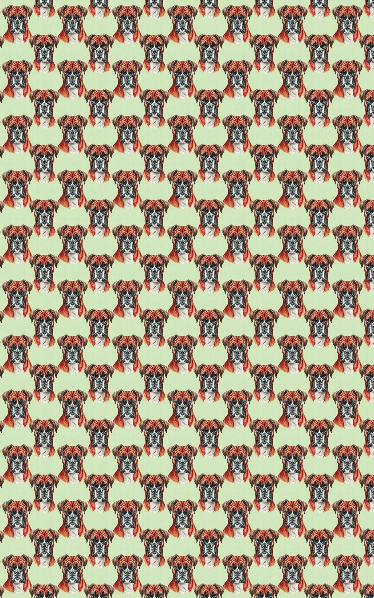 Boxer Muscle - London Penny Gift Wrap
