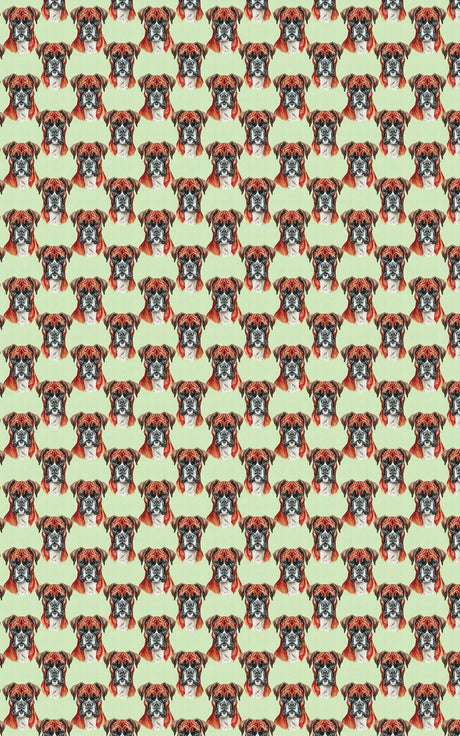 Boxer Muscle - London Penny Gift Wrap