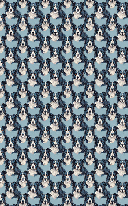 The Border Collie Look