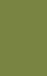 Natural Olive - London Penny Gift Wrap