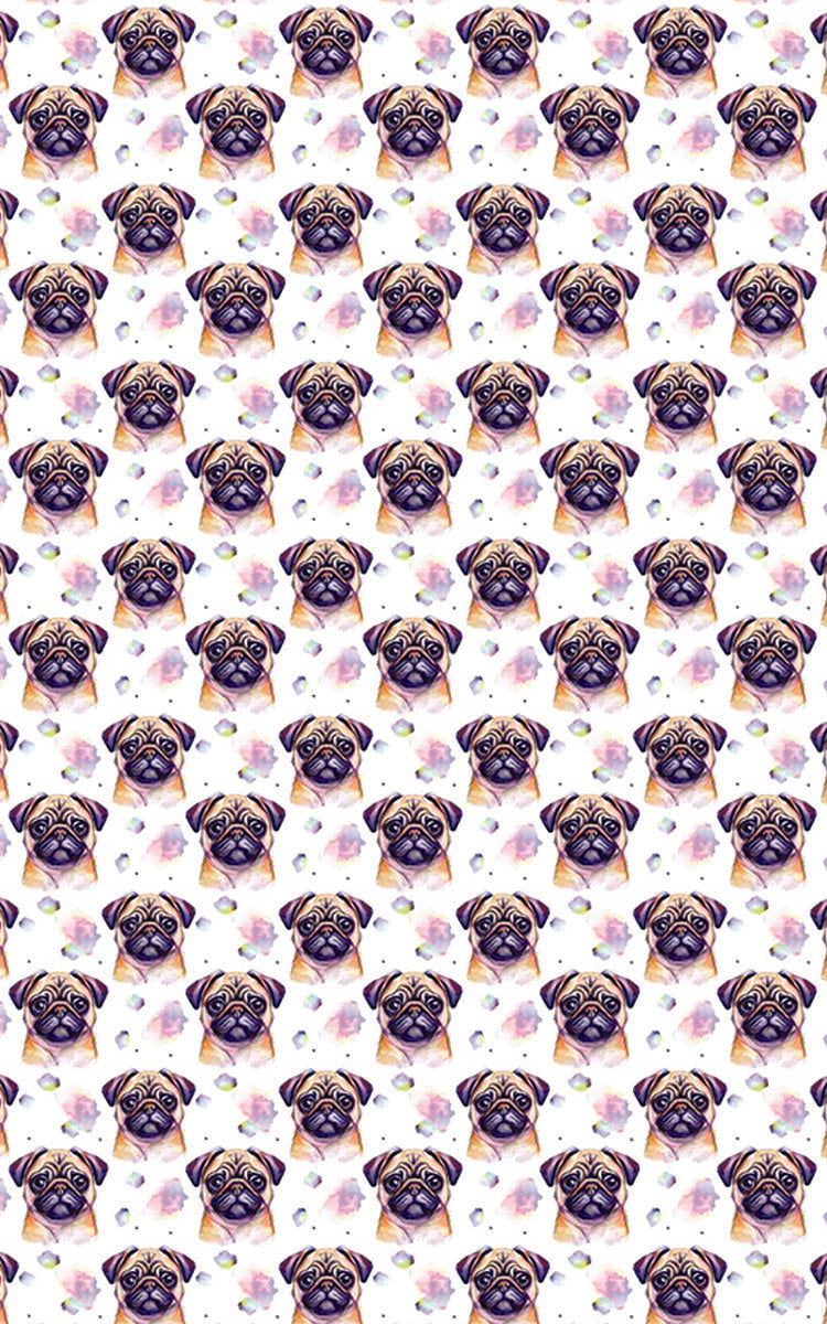 Pugs & Hugs