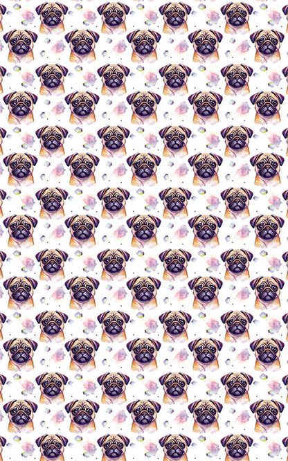 Pugs & Hugs