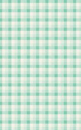 Gingham Gala Mint - London Penny Gift Wrap