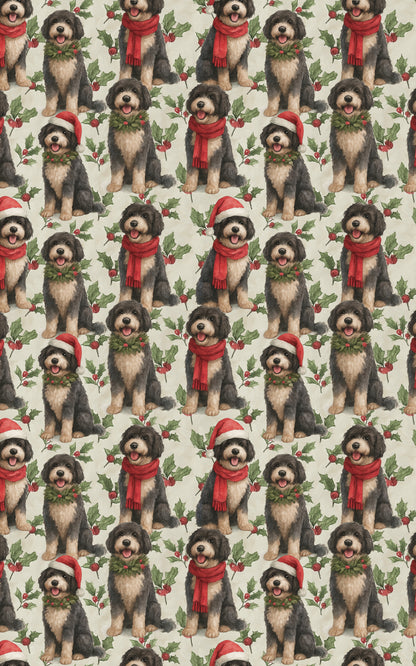 Portuguese Water Dog Holiday