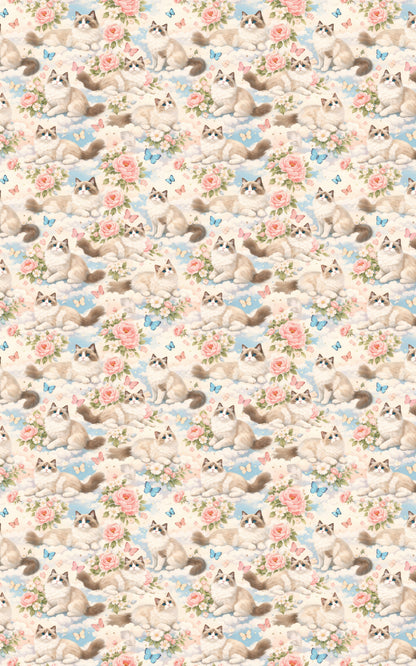 Ragdoll Pastel Drift