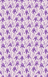 Regal Iris Embrace - London Penny Gift Wrap
