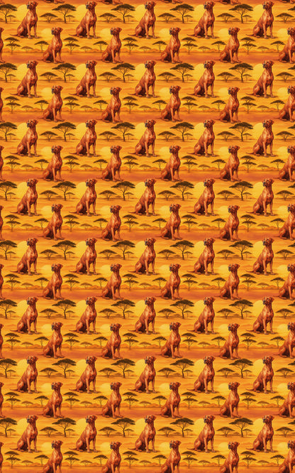 Rhodesian Ridge Radiance