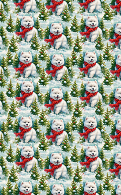 Snowy Samoyeds