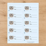 Scottish Fold Pawprint Wishes Gift Tag Sticker Sheet
