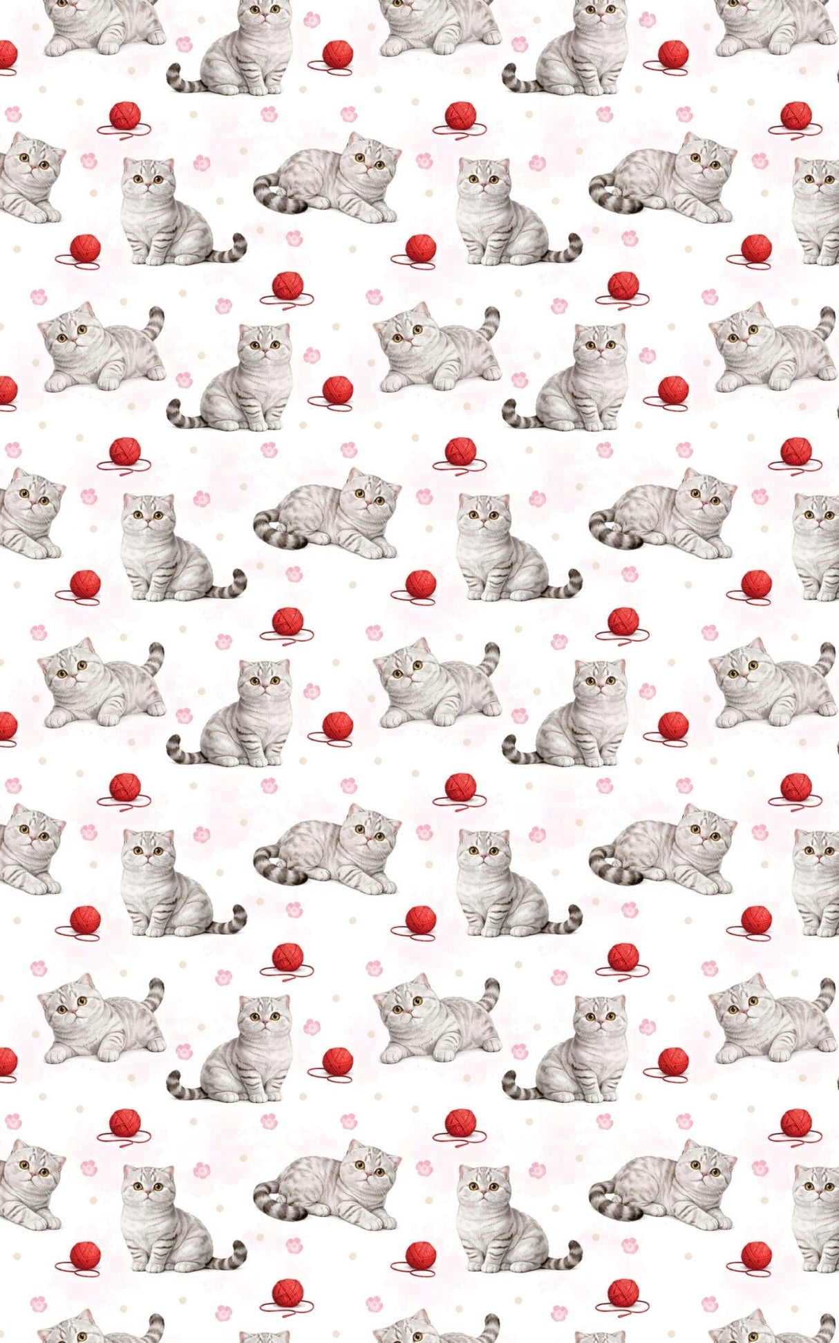Scottish Fold Dots - London Penny Gift Wrap