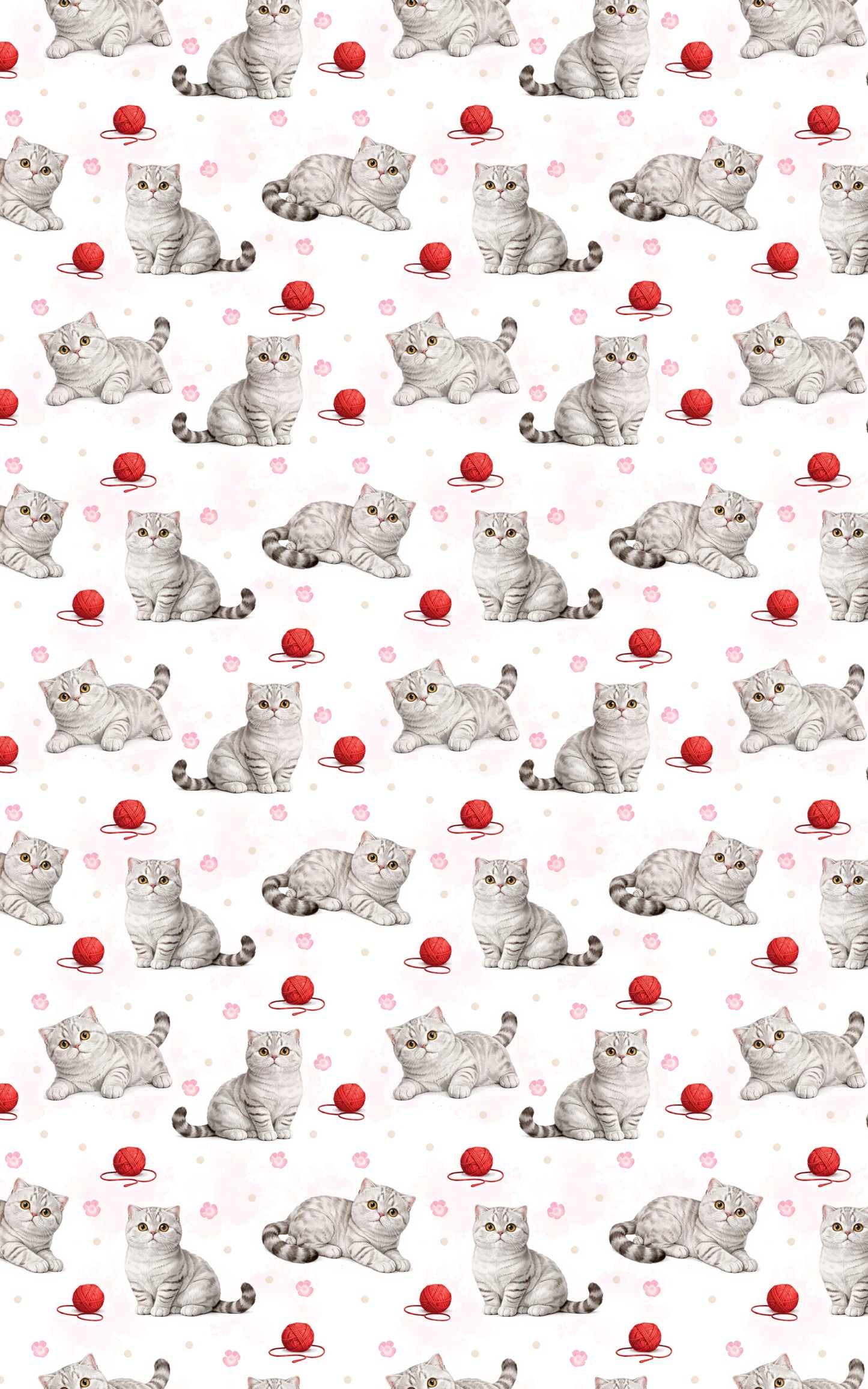 Scottish Fold Dots