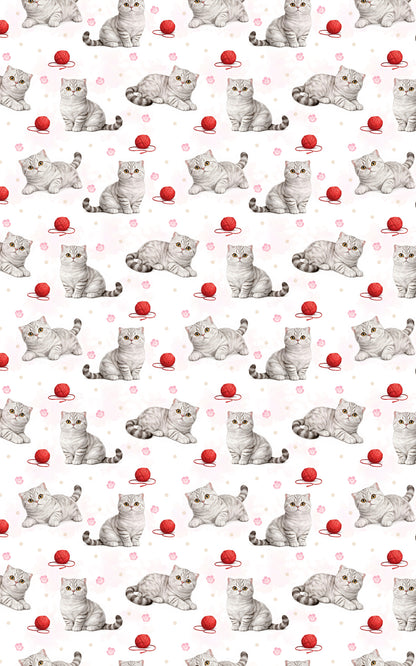 Scottish Fold Dots