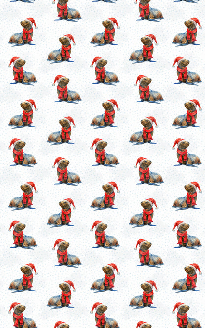 Santa’s Splashing Helper