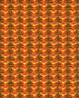 Arizona Desert Sun Sherpa Blanket - London Penny Gift Wrap