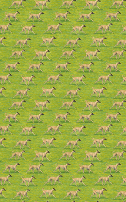 Galloping Spirit