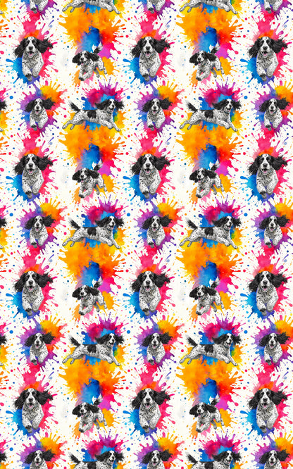 Spaniel Splash