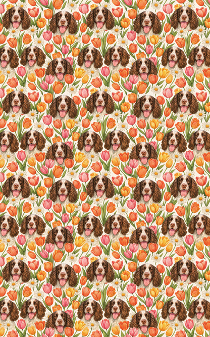 Spring Spaniel