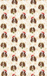 Holly Jolly Springer - London Penny Gift Wrap