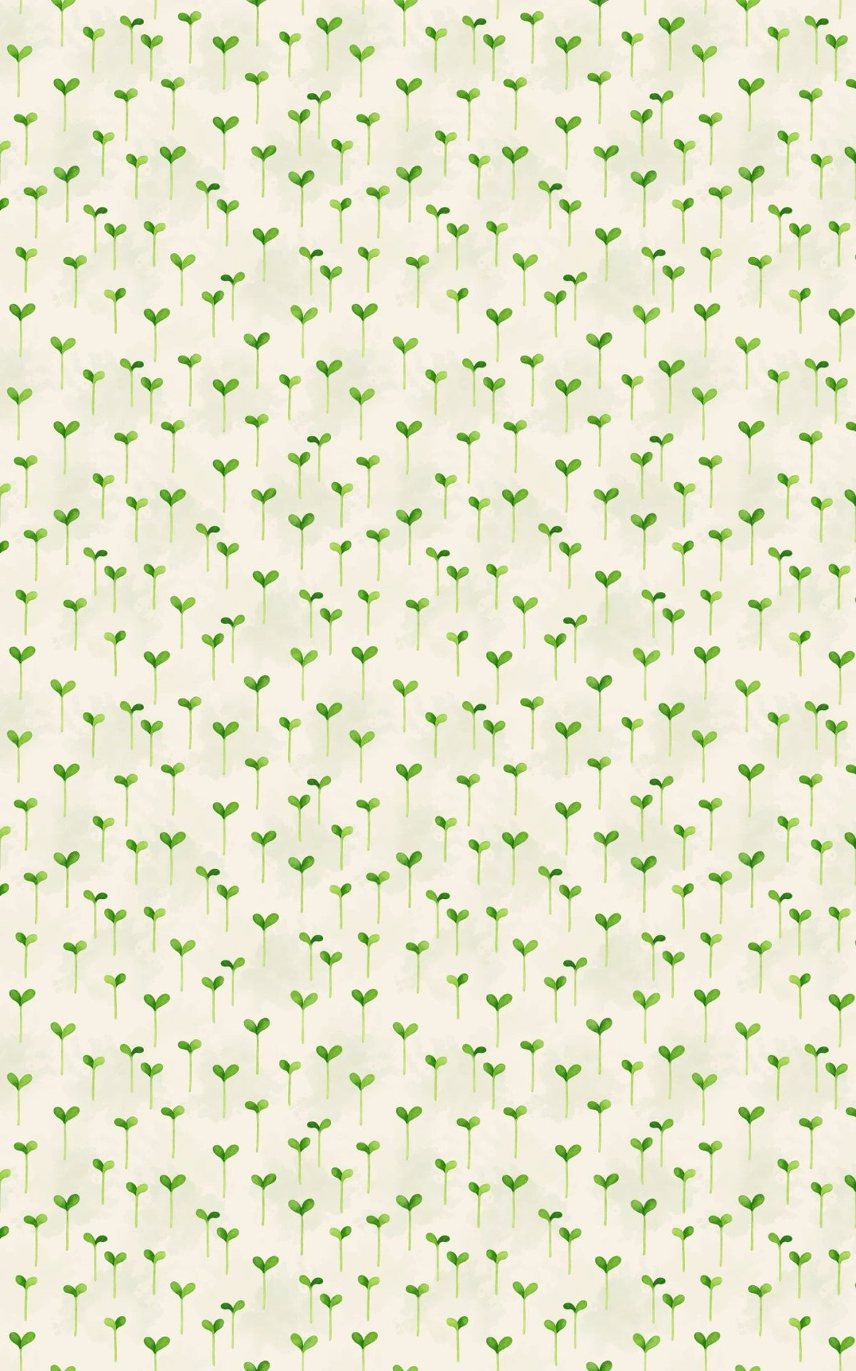Sprouting Seeds Pattern - London Penny Gift Wrap
