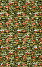 Tallahassee College Town Glow - London Penny Gift Wrap