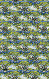 Texas Flora & Fauna - London Penny Gift Wrap