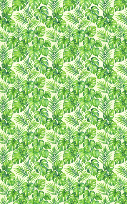 Paradise Leaf