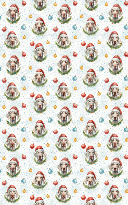Pawliday Grace